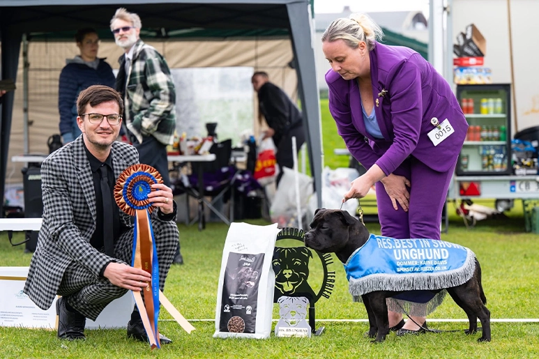 Norway SBT Breed Standard